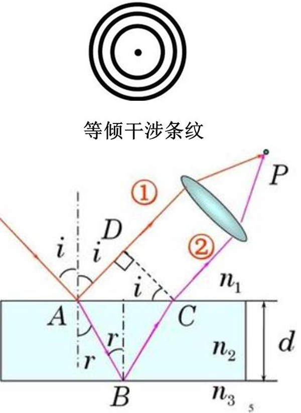 圖4：水凝膠薄膜的原位干涉測(cè)量示意圖